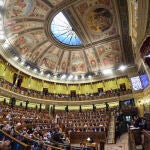 Plano general del Congreso de los Diputados durante la intervencion de Pedro Sanchez, en el Debate sobre el Estado de la Nación.