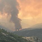 Incendio en la zona de Monsagro (Salamanca) el pasado año