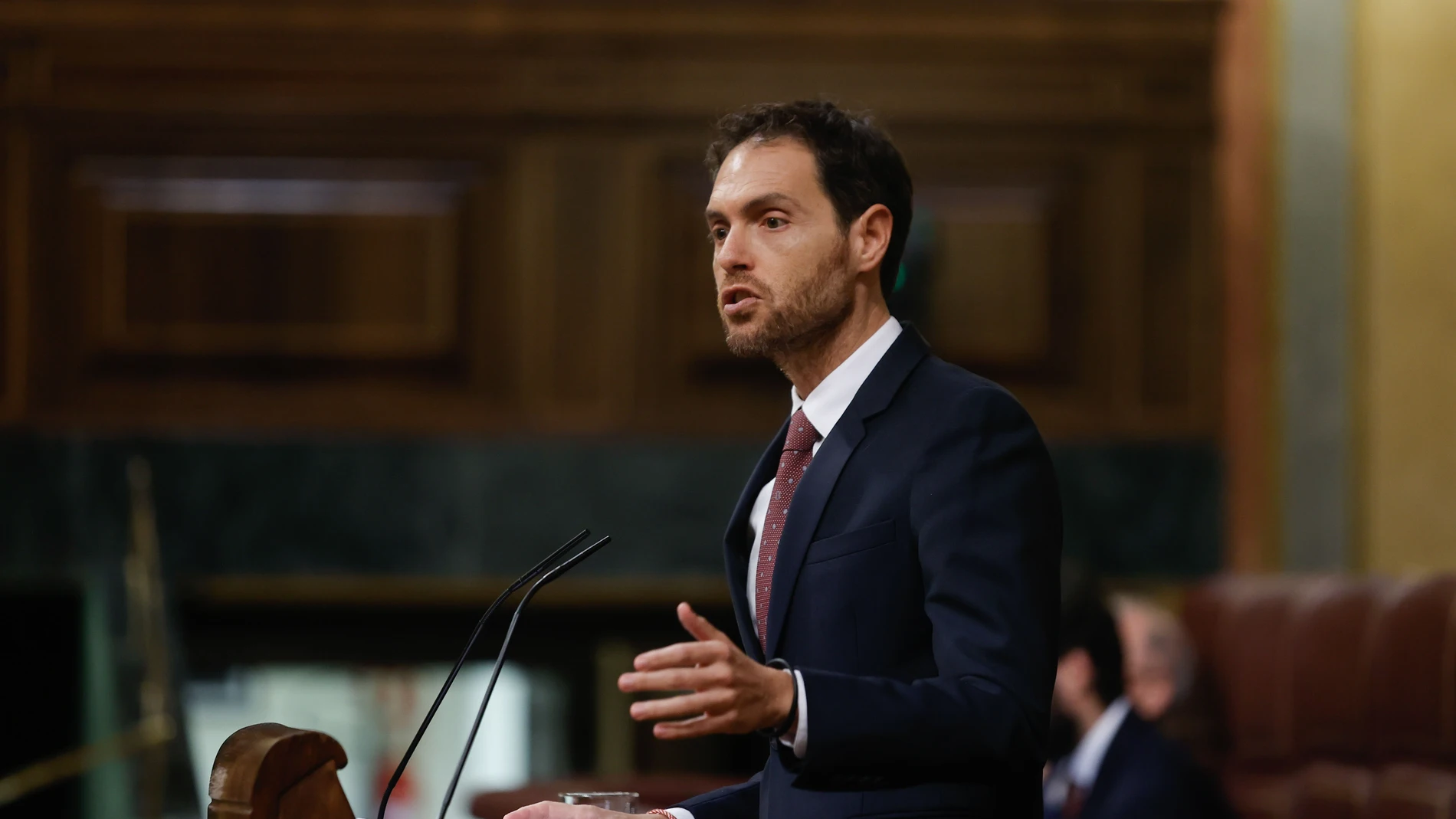 El diputado Sergio Sayas