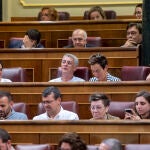 El portavoz adjunto de EH Bildu en el Congreso, Oskar Matute (c), durante una sesión extraordinaria en el Congreso de los Diputados, a 13 de julio de 2022, en Madrid (España). Esta sesión tiene lugar tras el Debate del Estado de la Nación siete años después de que se celebrase el último. Los dos temas principales que abarca este pleno son la aprobación del Proyecto de Ley de Memoria Democrática y la proposición de reforma de la Ley Orgánica del Poder Judicial. La Ley de Memoria Democrática, desde su aprobación por el Gobierno hace casi ya un año el 20 de julio de 2021, ha estado envuelta en polémicas partidistas -como las dudas por la situación en que quedada la Ley de Amnistía-. Además el pleno decide hoy si toma en consideración el proyecto de ley de modificación del artículo 570 bis de la Ley Orgánica 6/1985, de 1 de julio, del Poder Judicial y su acuerdo por tramitación. 14 JULIO 2022;SESIÓN EXTRAORDINARIA;PLENO;PLENO CONGRESO;PLEN