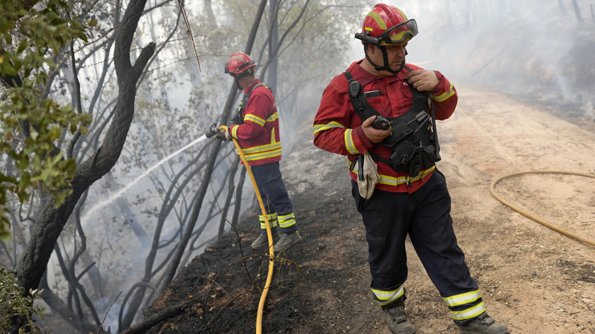Los bomberos tratan de controlar el incendio de Rebolo, cerca de Ansiao en el centro de Portugal