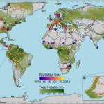 Distribución global de los eventos de mortalidad de árboles registrados en el planeta