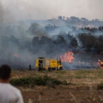 Incendio en Losacio (Zamora)