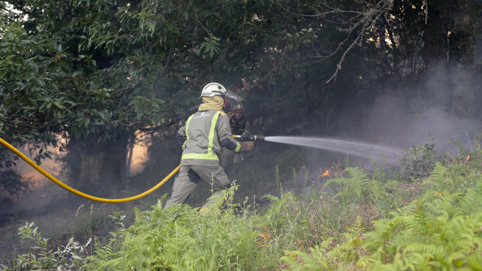 Bomberos trabajando en la extinción del fuego de Folgoso do Courel, Lugo, Galicia (España)