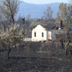 Vista de la zona de San Martín de Tábara (Zamora), afectada por el incendio forestal de Losacio (Zamora)