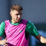 Joaquín Sánchez con el Betis.