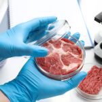 Más de 400 startups españolas trabajan en desarrollar el futuro de la cadena de valor agroalimentaria