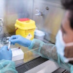 Muestras de PCR