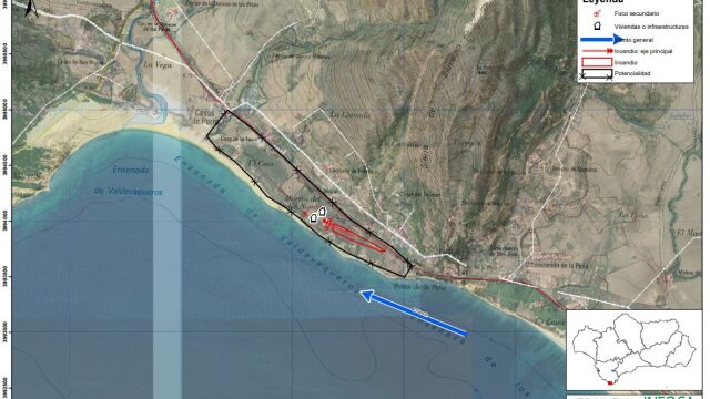 Incendio declarado este viernes muy cerca de la costa en Tarifa (Cádiz). INFOCA