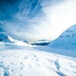 Una temperatura corporal más baja prolonga la longevidad de los mamíferos