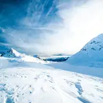 Una temperatura corporal más baja prolonga la longevidad de los mamíferos