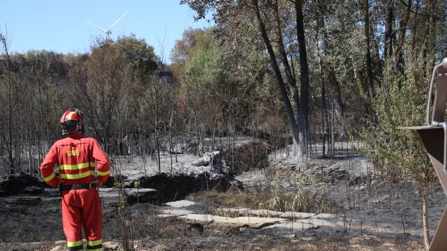 Incendio en Losacio de Alba