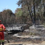 Incendio en Losacio de Alba