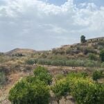 Vistas de una parte de terreno en Cantoria (Almería). AYTO DE CANTORIA