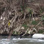 Basura en el río Jarama