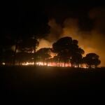 Imagen del incendio de Almonte (Huelva). INFOCA