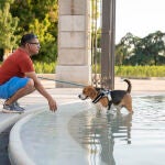 Una persona se refresca junto a su perro en plena ola de calor