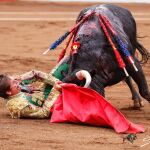 Percance de Dávila Miura, con el primero de la tarde