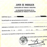 Los cursos que sí realizo: Elena muestra a LA RAZÓN los tres cursos organizados por la Junta de Andalucía que realizó. Más tarde, utilizaron sus datos para crear otros falsos que no se impartieron. «La Policía me dijo que había más casos como el mío y que incluso en la base de datos aparecían mujeres mayores de aldeas de Galicia», desvela.