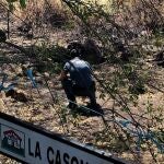 Un agente busca pruebas en una de las zonas donde se inició uno de los incendios