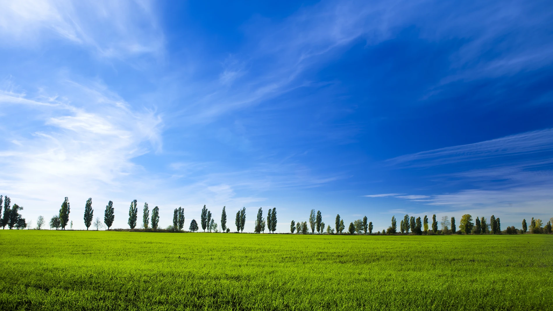 Paisaje verde con cielo azul