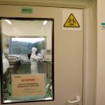 Antes de los ensayos en humanos, la prometedora vacuna contra la covid de la farmacéutica gerundense Hipra se probó en animales en el laboratorio de IRTA-CReSA.