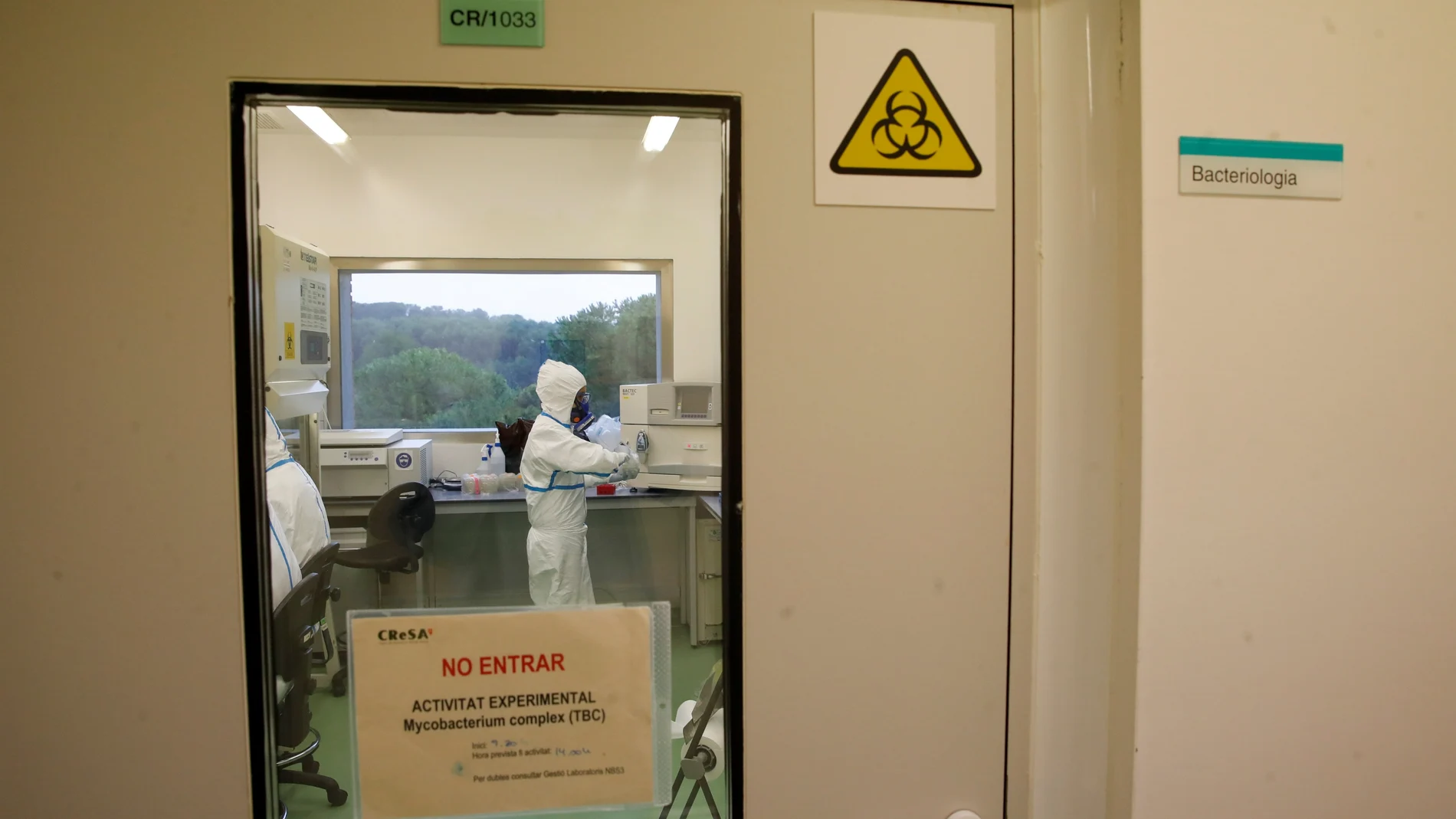 Antes de los ensayos en humanos, la prometedora vacuna contra la covid de la farmacéutica gerundense Hipra se probó en animales en el laboratorio de IRTA-CReSA.