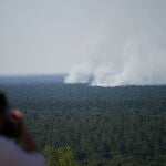 El humo se eleva durante un incendio forestal en el Grunewald en Berlín