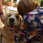 Una mujer mayor acariciando a un perro. ASOCIACIÓN TERAPICAN