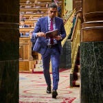 El presidente del Gobierno, Pedro Sánchez, en el Congreso.