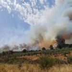 Incendio en Santibáñez el Alto (Cáceres)