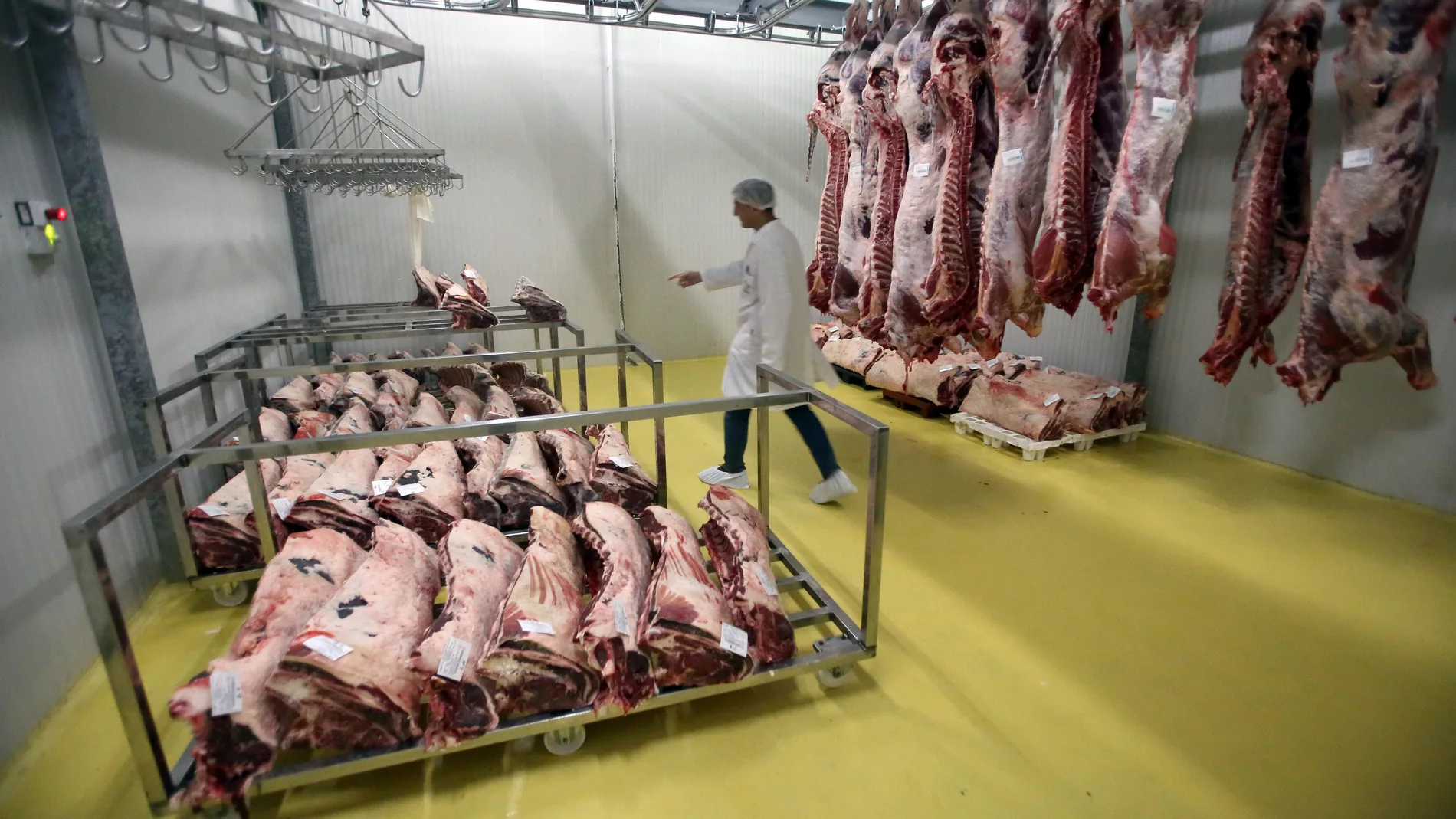 Costillares en un matadero leonés