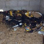 Imagen parcial del cortijo donde fueron encontrados los perros muertos