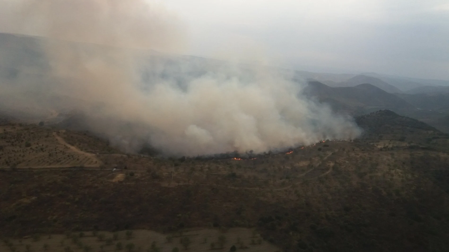 Incendio forestal en La Fregeneda, en las Arribes del Duero salmantinas