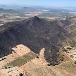 Imagen aérea de la superficie quemada en vuelo de reconocimiento efectuado por el helicóptero de coordinación y vigilancia de la Dirección General de Seguridad Ciudadana y Emergencias.