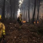 Incendios en la Sierra de la Culebra, en Zamora, el 16 de junio de 2022. EMILIO FRAILE / EUROPA PRESS (Foto de ARCHIVO) 16/06/2022