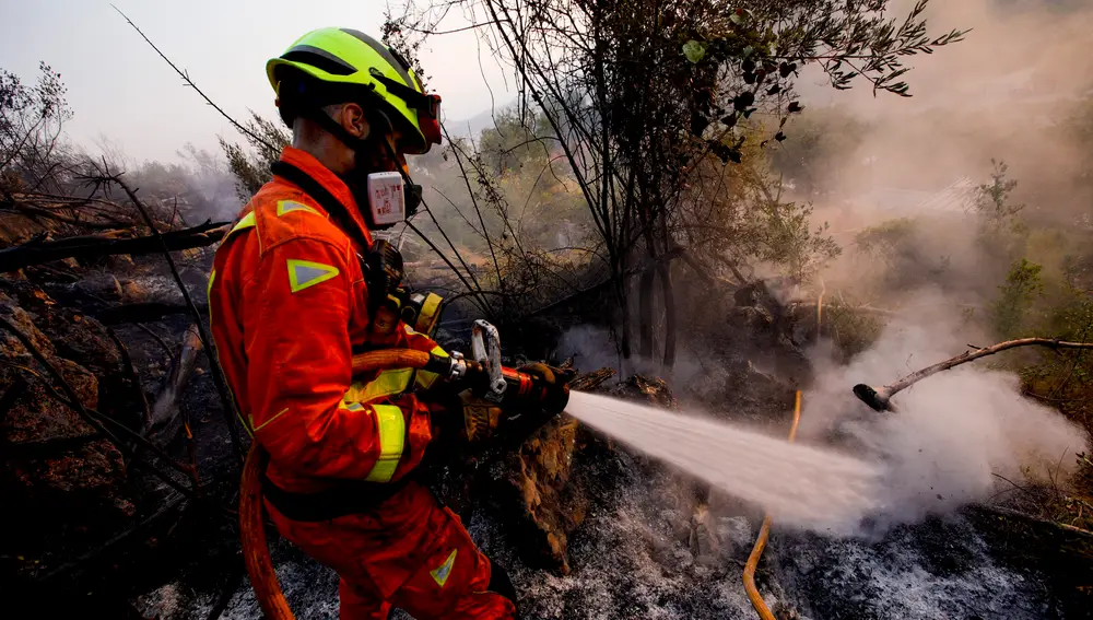 GRAFCVA7705. PEGO (ALICANTE), 17/08/2022.- El incendio de Vall d'Ebo (Alicante) ha quemado ya 11.500 hectáreas, según la estimación de superficie afectada llevada a cabo a las dos de esta madrugada, mientras que durante la noche no ha habido nuevos desalojos ni afecciones a viviendas.Según informa el Centro de Coordinación de Emergencias de la Generalitat, el incendio, que comenzó el sábado, continúa activo en todos los frentes, aunque debido al aumento de la humedad avanza de forma mas lenta y se espera una evolución más favorable a lo largo de la mañana de este miércoles. EFE/ Natxo Francès