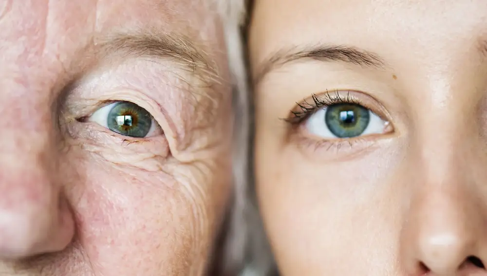 Científicos estudian el cerebro de personas octogenarias que preservan la memoria mejor incluso que otras personas 20 o 30 años más jóvenes que ellos
