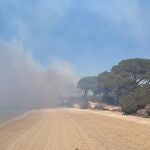 Incendio cerca de la playa de El Conchal en Puerto Real (Cádiz)