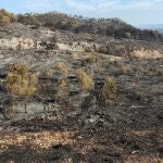 Vall d'Ebo (Alicante) CLIMATOLOGÍA UA 19/08/2022