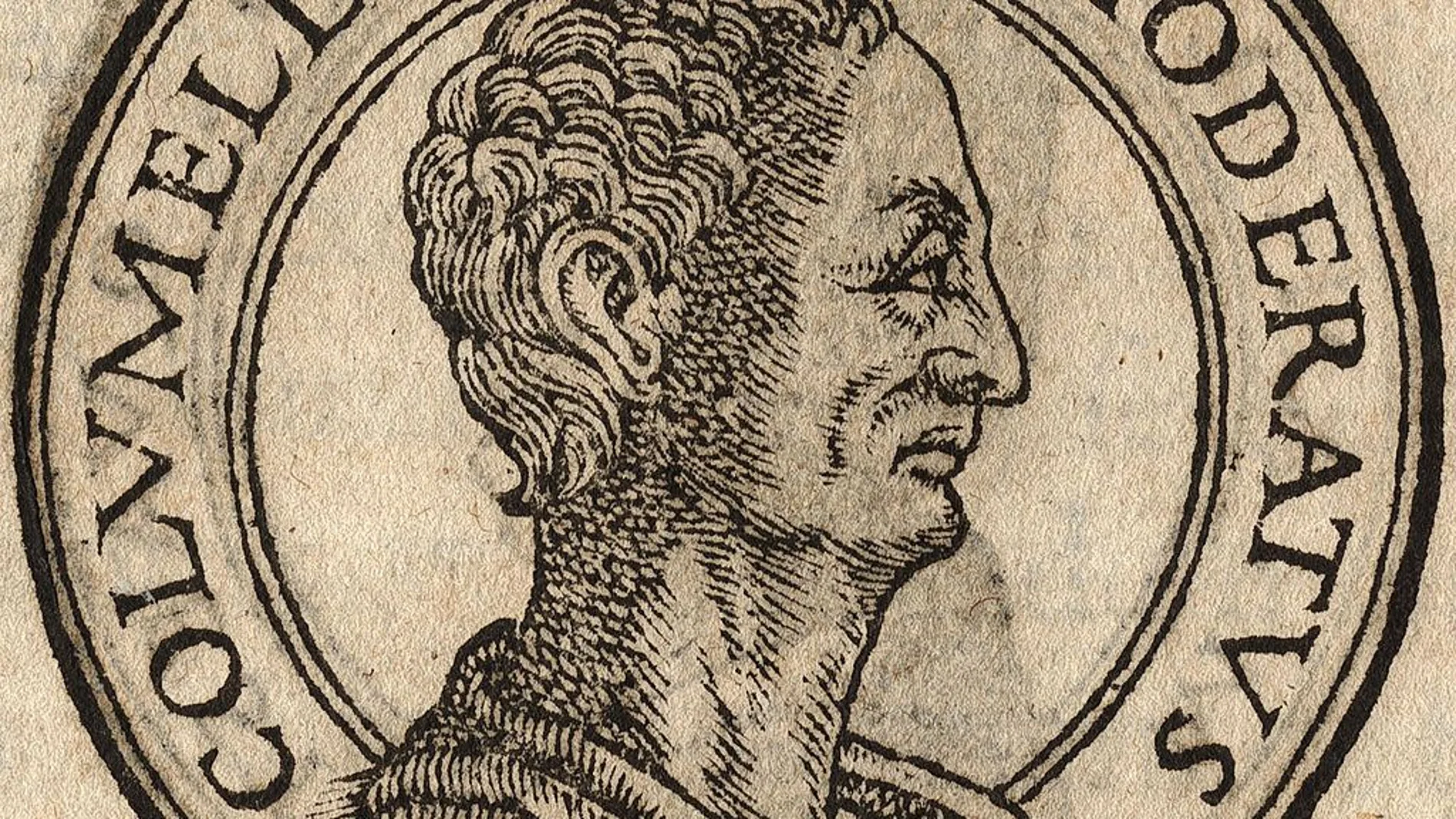 Una ilustración representa a Columela