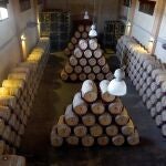 Vendimia en la bodega Heredad de Urueña