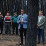 El Consejo de Ministros aprobará declarar zona catastrófica para los territorios afectados por grandes incendios ROBER SOLSONA 22/08/2022