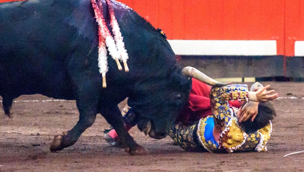 ¿Por qué Roca Rey es pieza clave en la Tauromaquia?