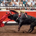 El diestro Paco Ureña cogido al entrar a matar