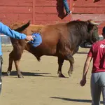 Después de dos años sin poder celebrarse a causa de la pandemia, hoy arrancan las fiestas patronales de San Sebastián de los Reyes