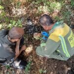 Una mujer identificada cuando llevaba pastillas de encendido y un mechero para presuntamente prender fuego en un monte de Amoeiro