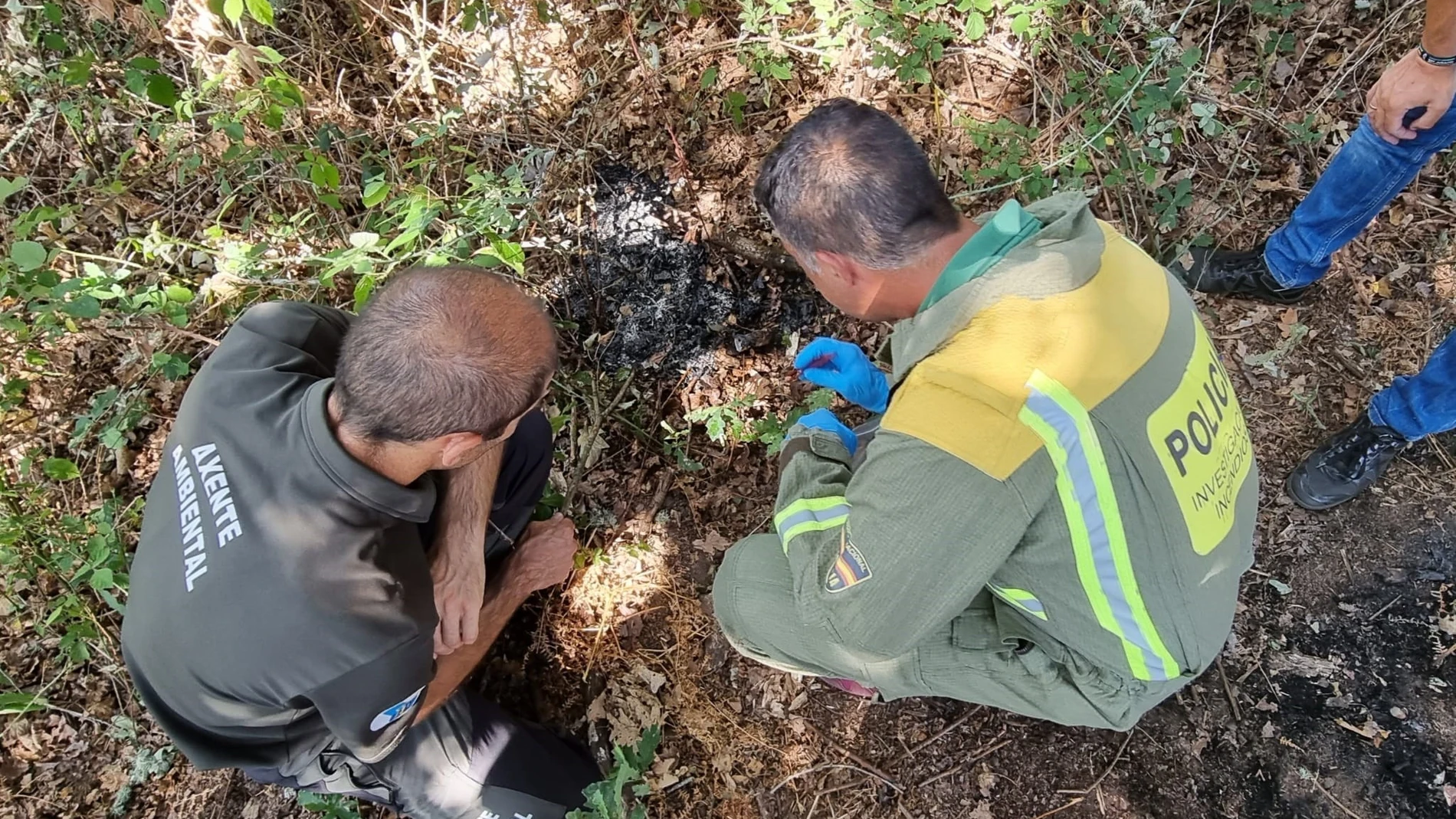 Una mujer identificada cuando llevaba pastillas de encendido y un mechero para presuntamente prender fuego en un monte de Amoeiro