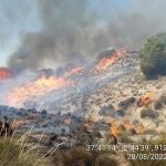 Las llamas han sido bastante llamativas en esta zona de monte bajo
