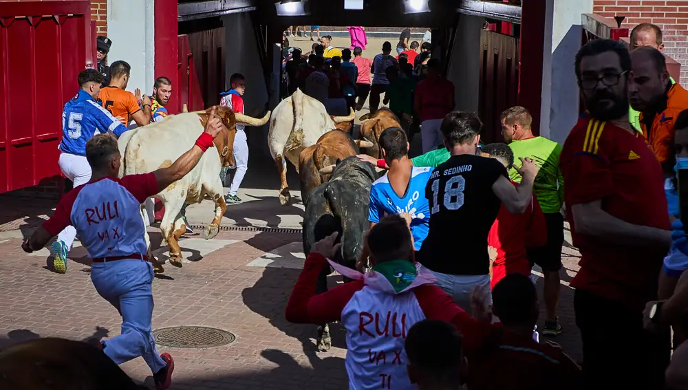 Encierros de las Fiestas de San Sebastián de los Reyes, Madrid, donde tras dos años sin festejos por la pandemia vuelven a celebrarse